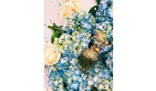 Banner image for Anna Sui Fantasia