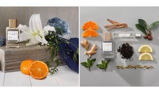 Banner image for Bright and Elegant Florals Bring the Fragrance to Life Through Crisp