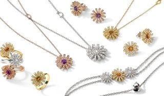 Banner image for Damiani : the Margherita Collection Masterpieces