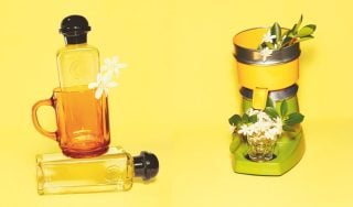 Banner image for Néroli and Rhubarbe : Vibrant, Sharp, Tenderness