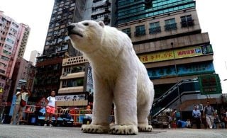 Banner image for Pauline the Polar Bear to Visit Causeway Bay at the End of August