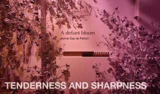 Banner image for Tenderness and Sharpness