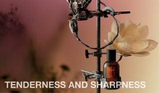 Banner image for Tenderness and Sharpness