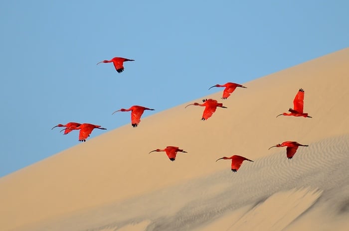 Banner image for 【Photography】wildlife Photographer of the Year 2015