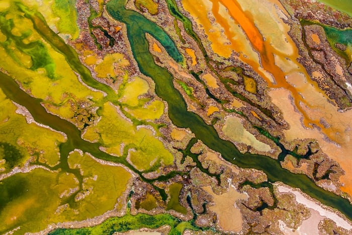 Banner image for 【Photography】wildlife Photographer of the Year 2015