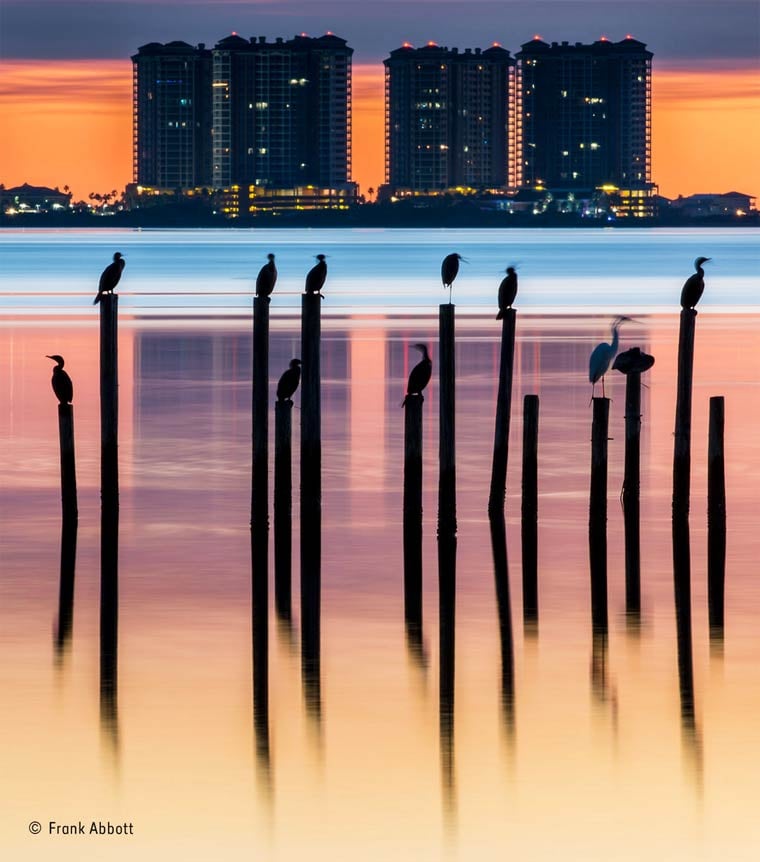 Banner image for 【Photography】wildlife Photographer of the Year 2015