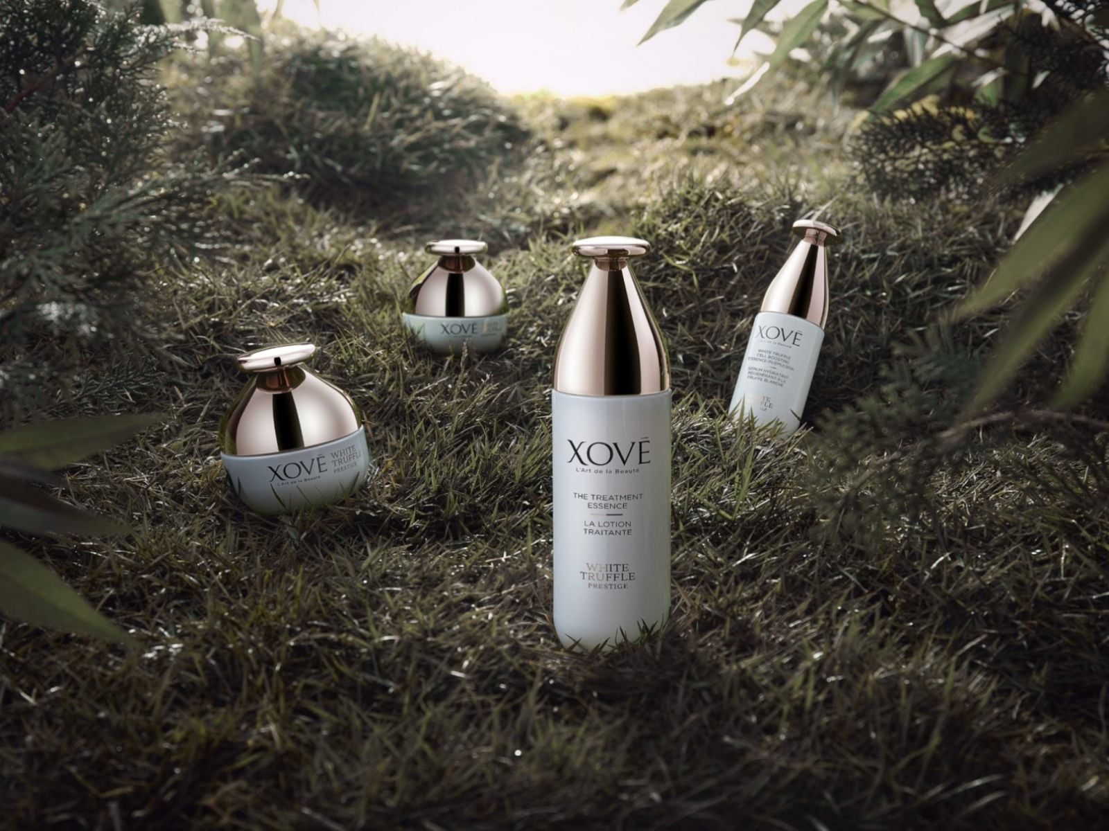 4 Steps Towards Age Resisting : Xovē Prestige Serier - Image 1